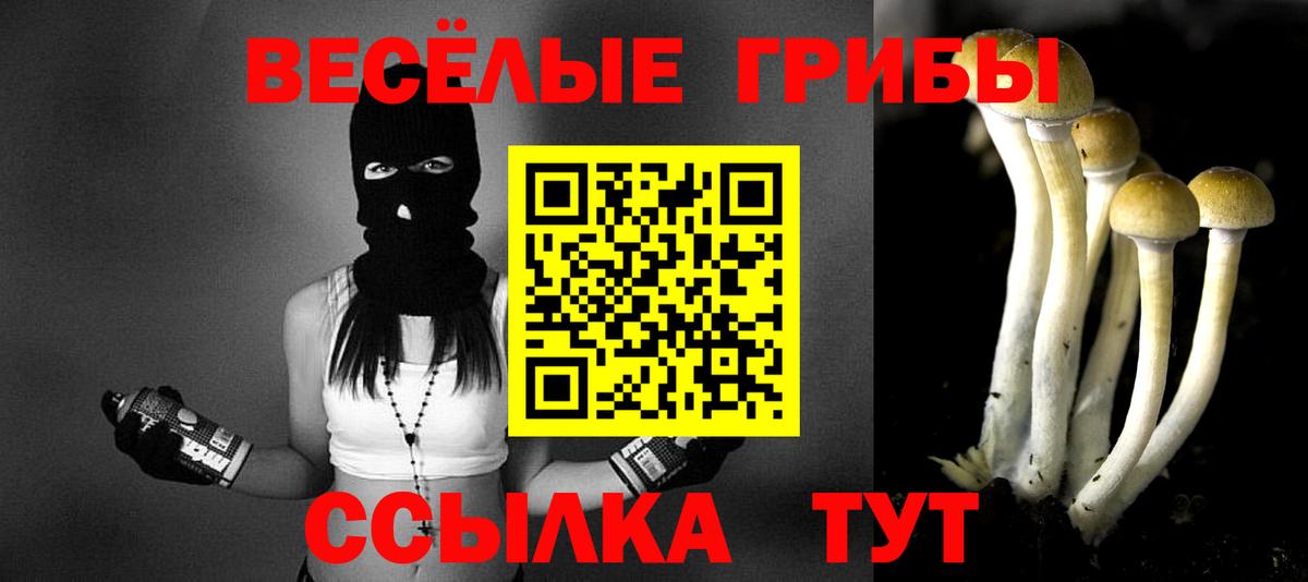 Галлюциногенные грибы мицелий  Вход с VPN  Саяногорск 